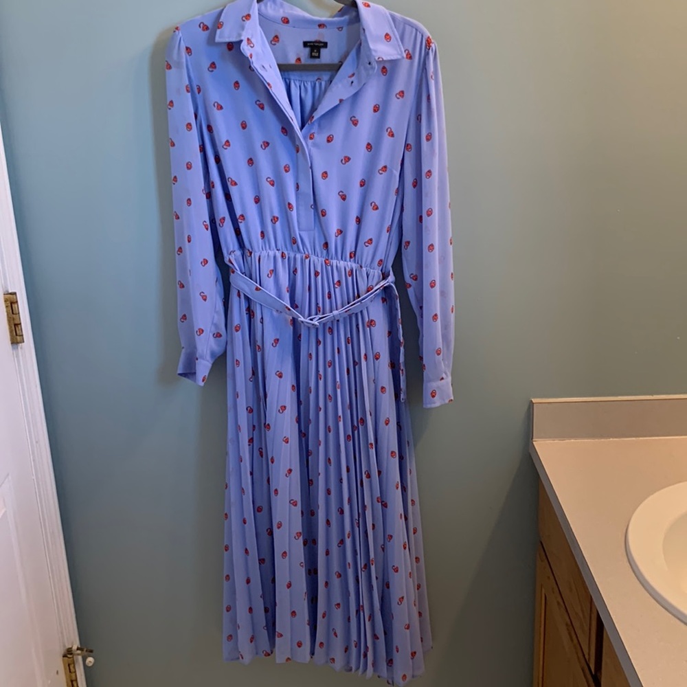 Ann Taylor size 10 long sleeve dress